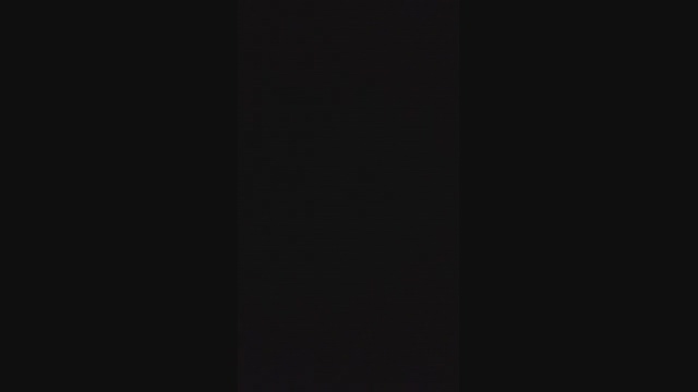 rex_2327  29-04-2022